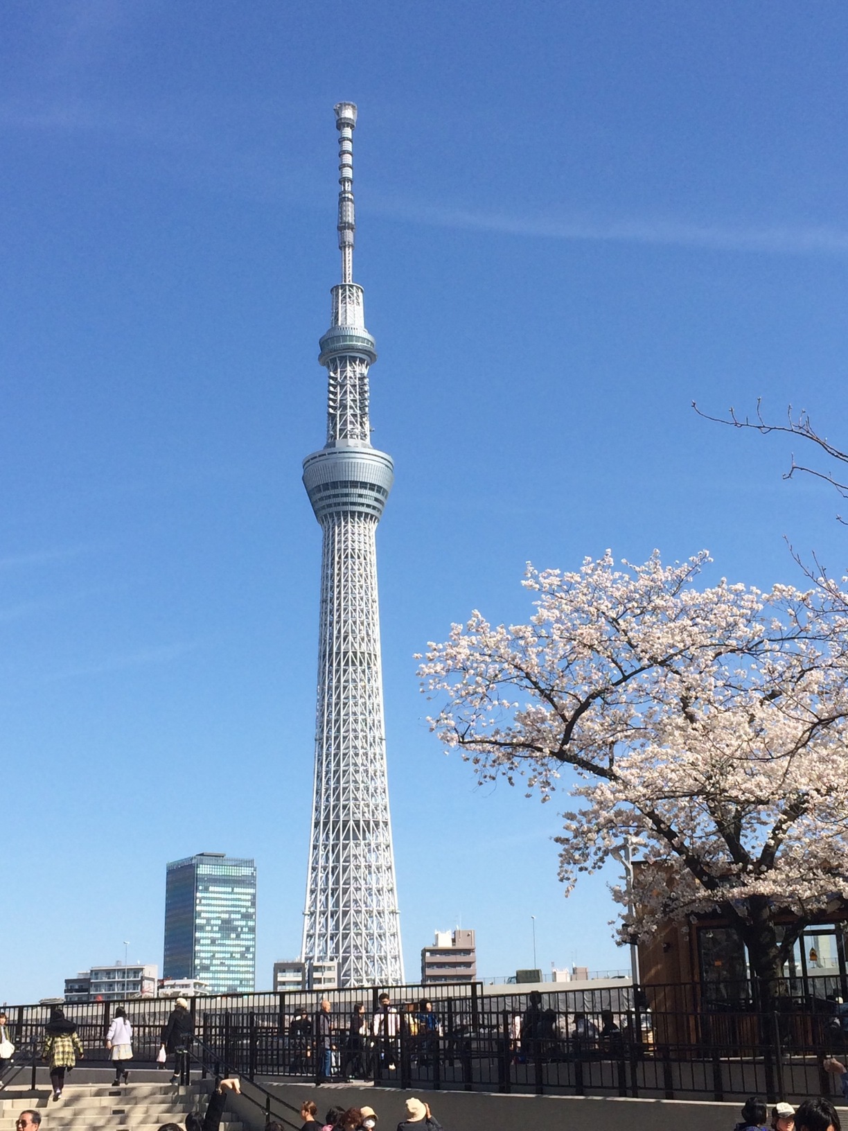 sky tree